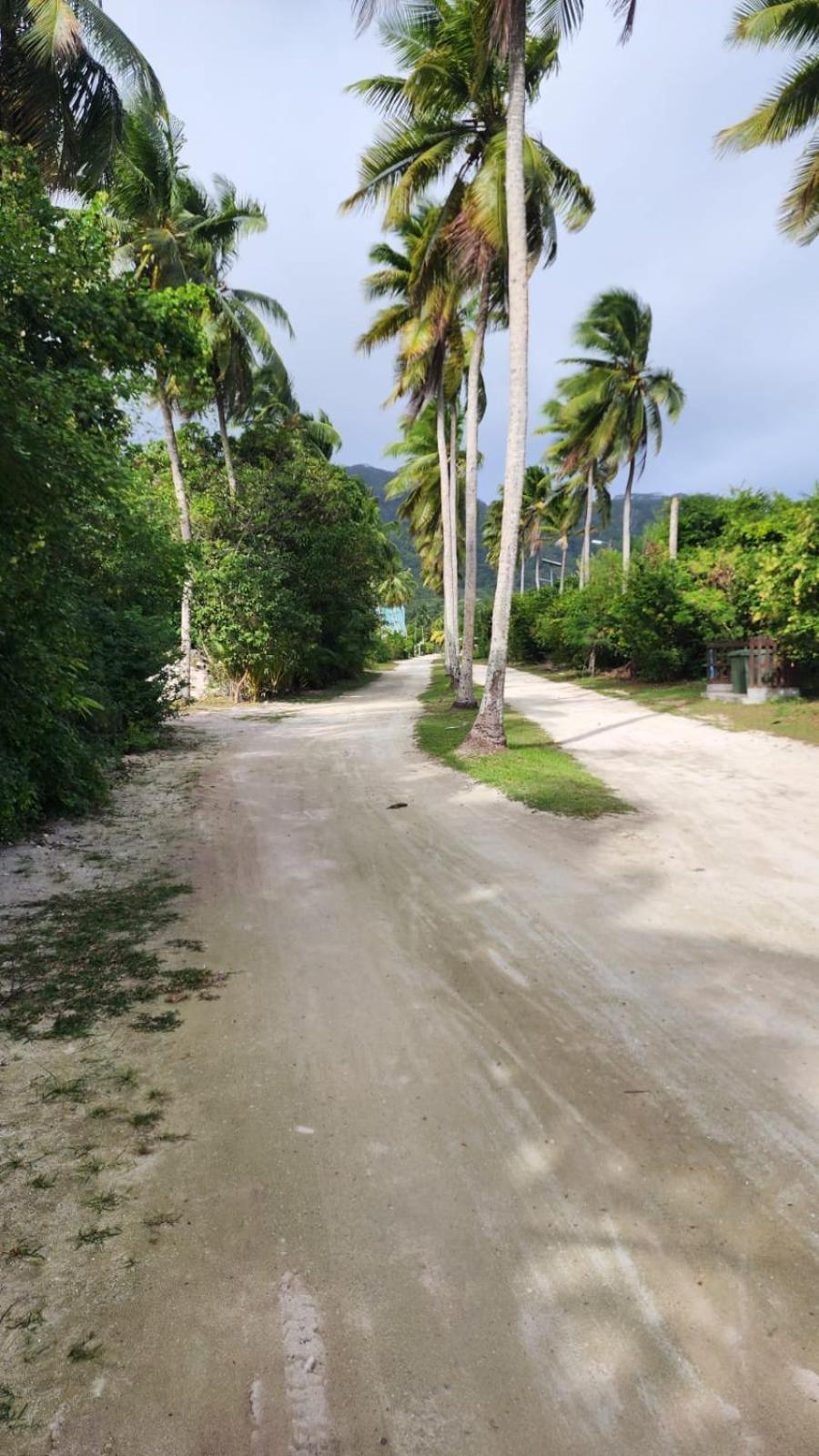 Lianita'S Cottage La Digue Buitenkant foto